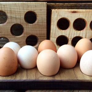 Egg Tray