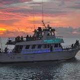 Dolphin Watch Trip
