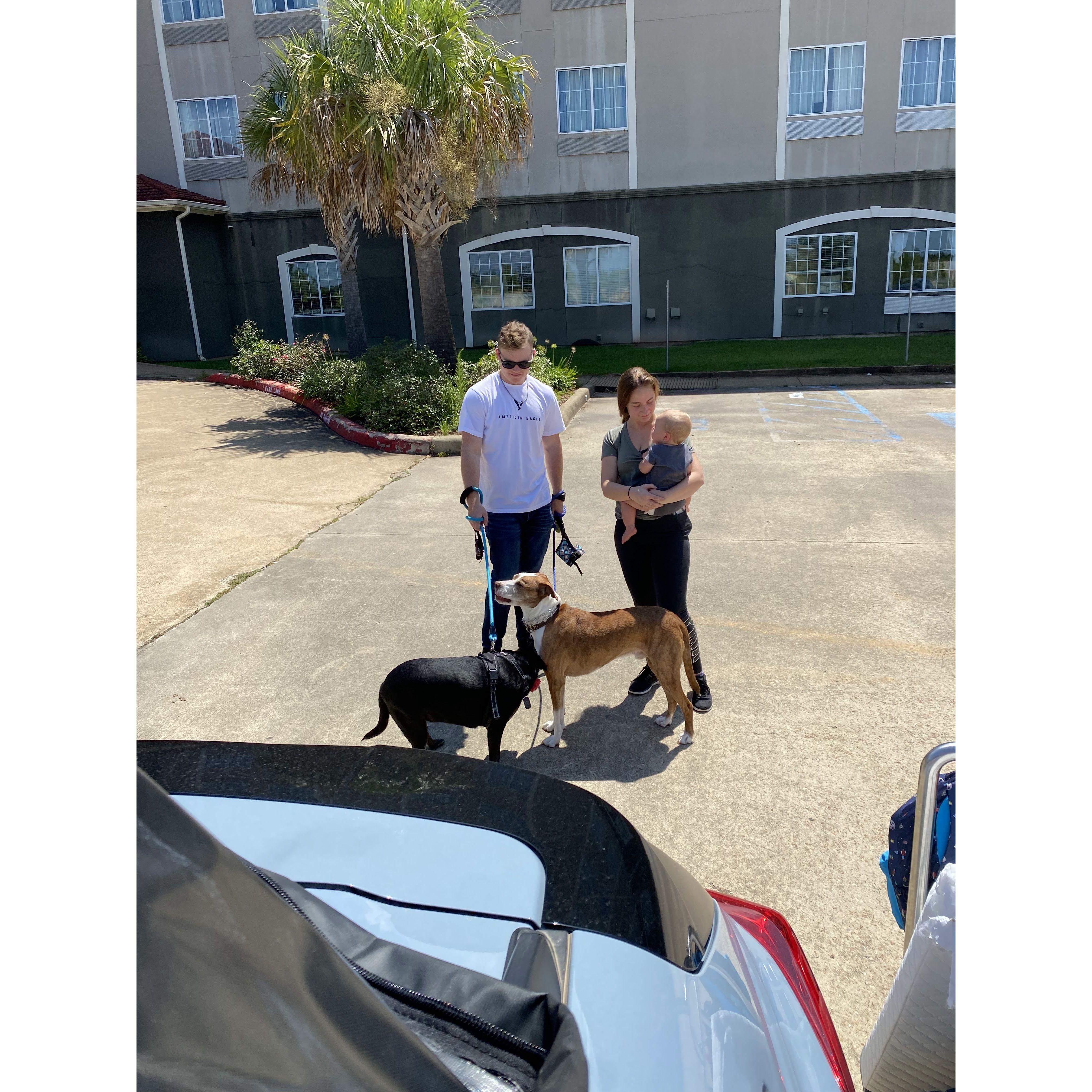 Sarah and I were on a trip from Texas to Florida and stopped by to see Chase in Louisiana (Cooper was obsessed with him)