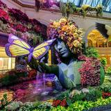 Bellagio Conservatory & Botanical Gardens