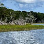 Machicomoco State Park