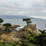 17 Mile Drive