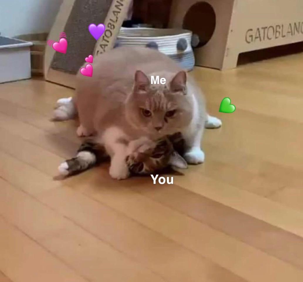 An example of the dumb cute love memes Mary sends Jesse sometimes [4/10]