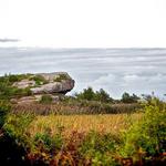 Norman Bird Sanctuary