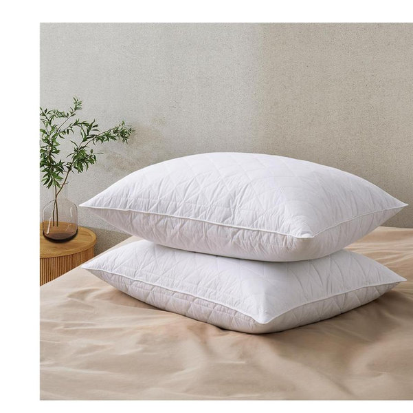2 Pack Hotel Quality Goose Feather Bed Pillows for Side & Back Sleepers