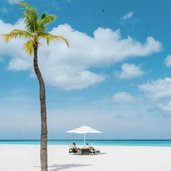 Honeymoon Fund