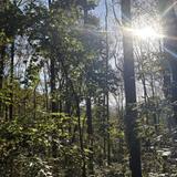 Jones Mountain Trail Head