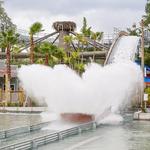 ZooTampa at Lowry Park