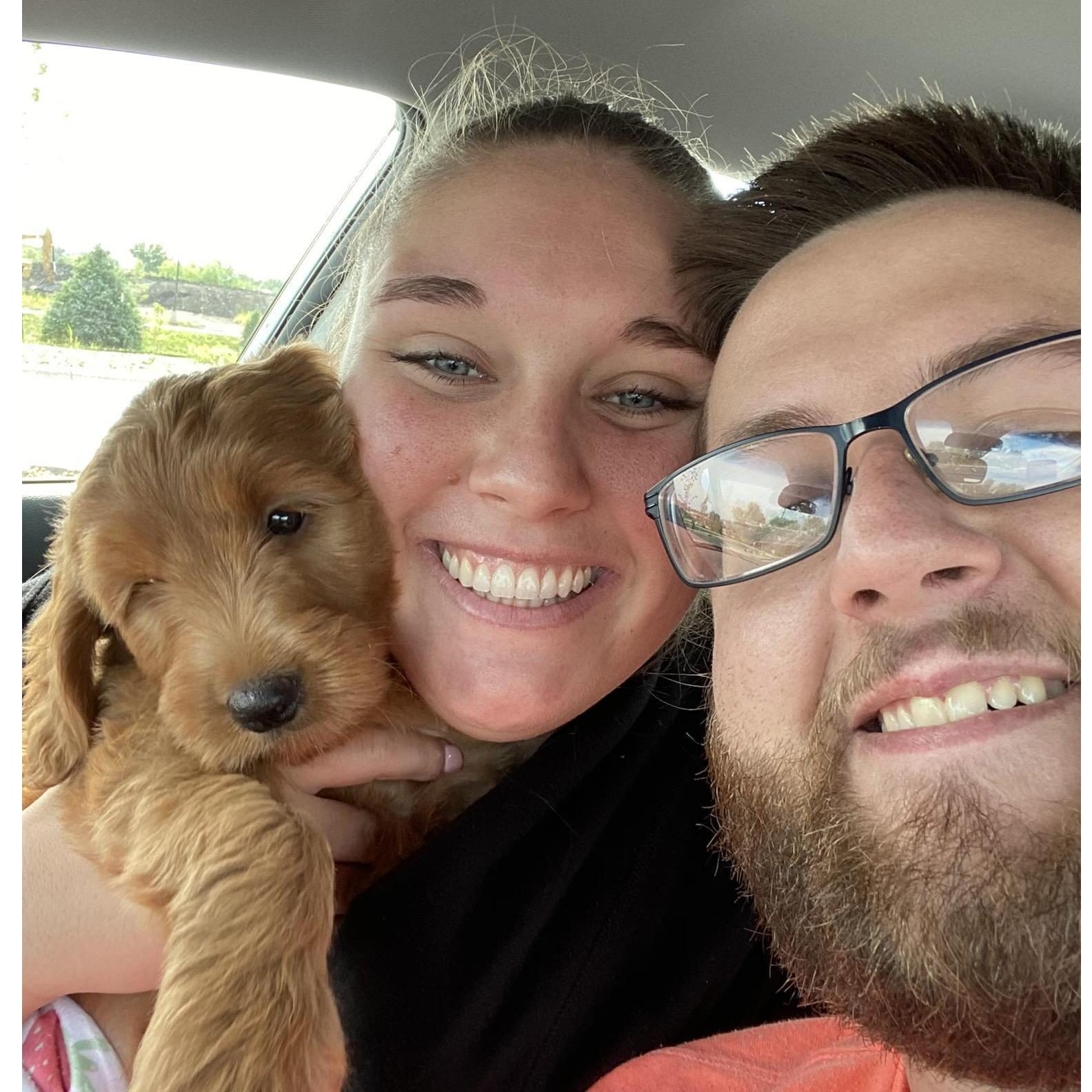The day we picked up Goldie!