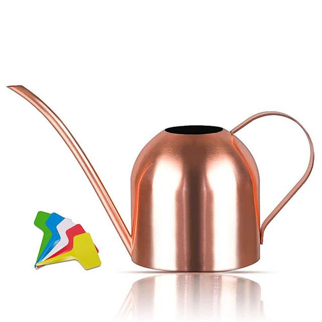Liyahog Watering Can Indoor Outdoor Small for Kids House Plants and Garden (15oz - Copper)