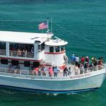 Southern Star Dolphin Cruise