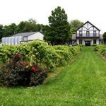 Beachaven Vineyards & Winery