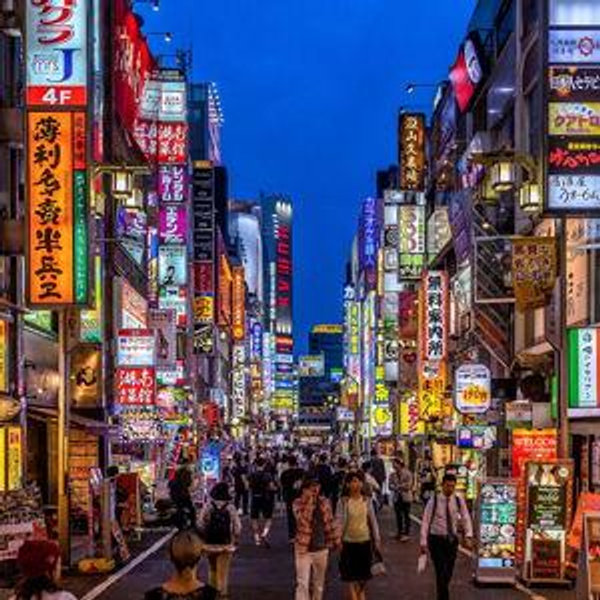Honeymoon Fund for Japan