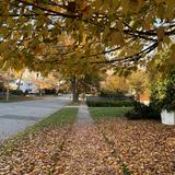 Blackstone Boulevard