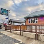 The Blue Goose