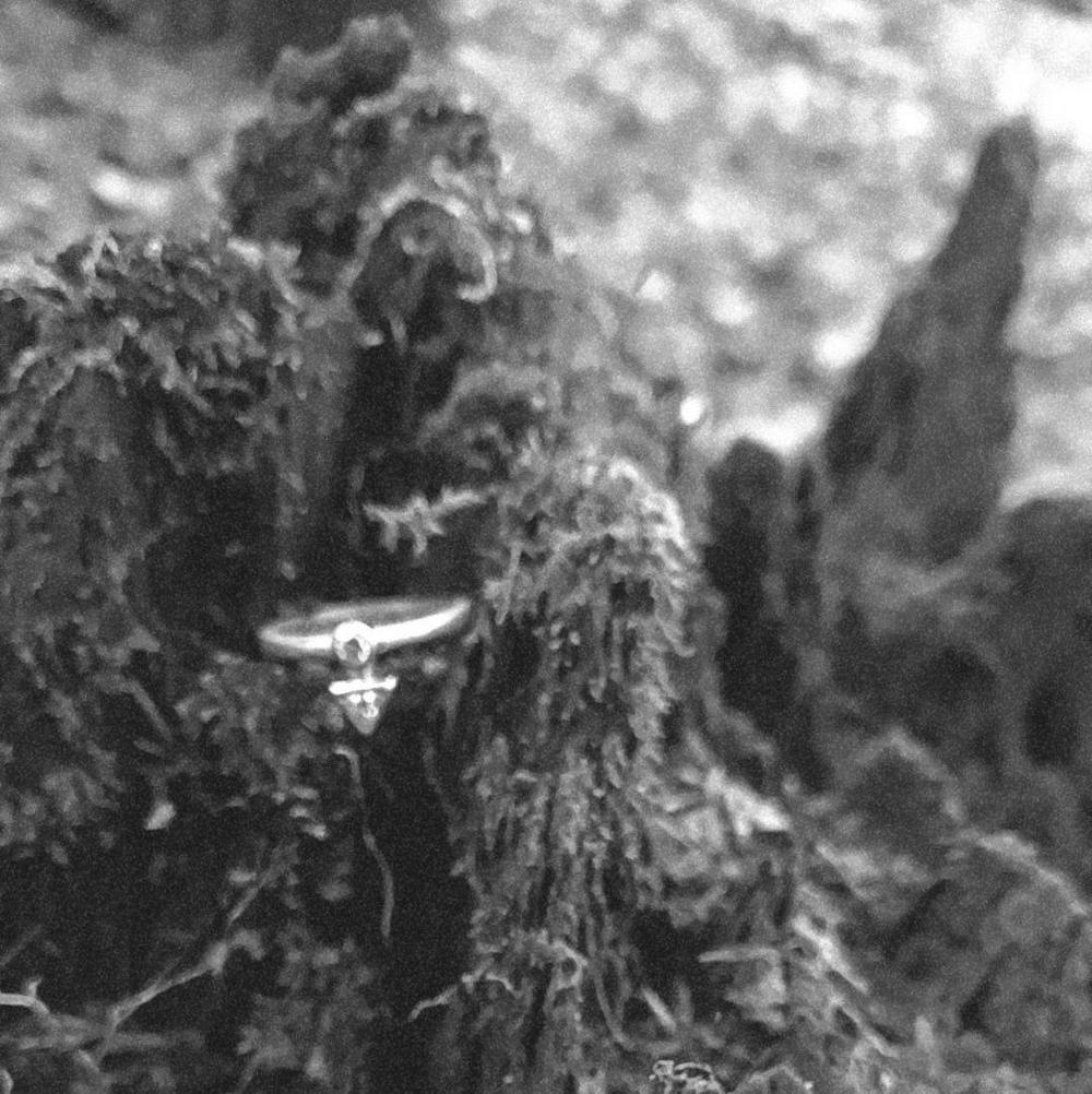 Hero Image 1