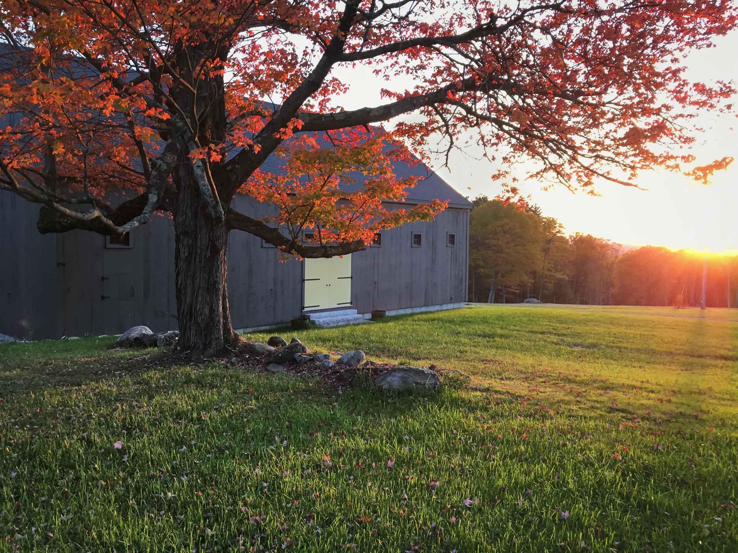 The Wedding Website of Alisha Tessier and Michael Lytle