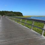 Cape Cod Rail Trail