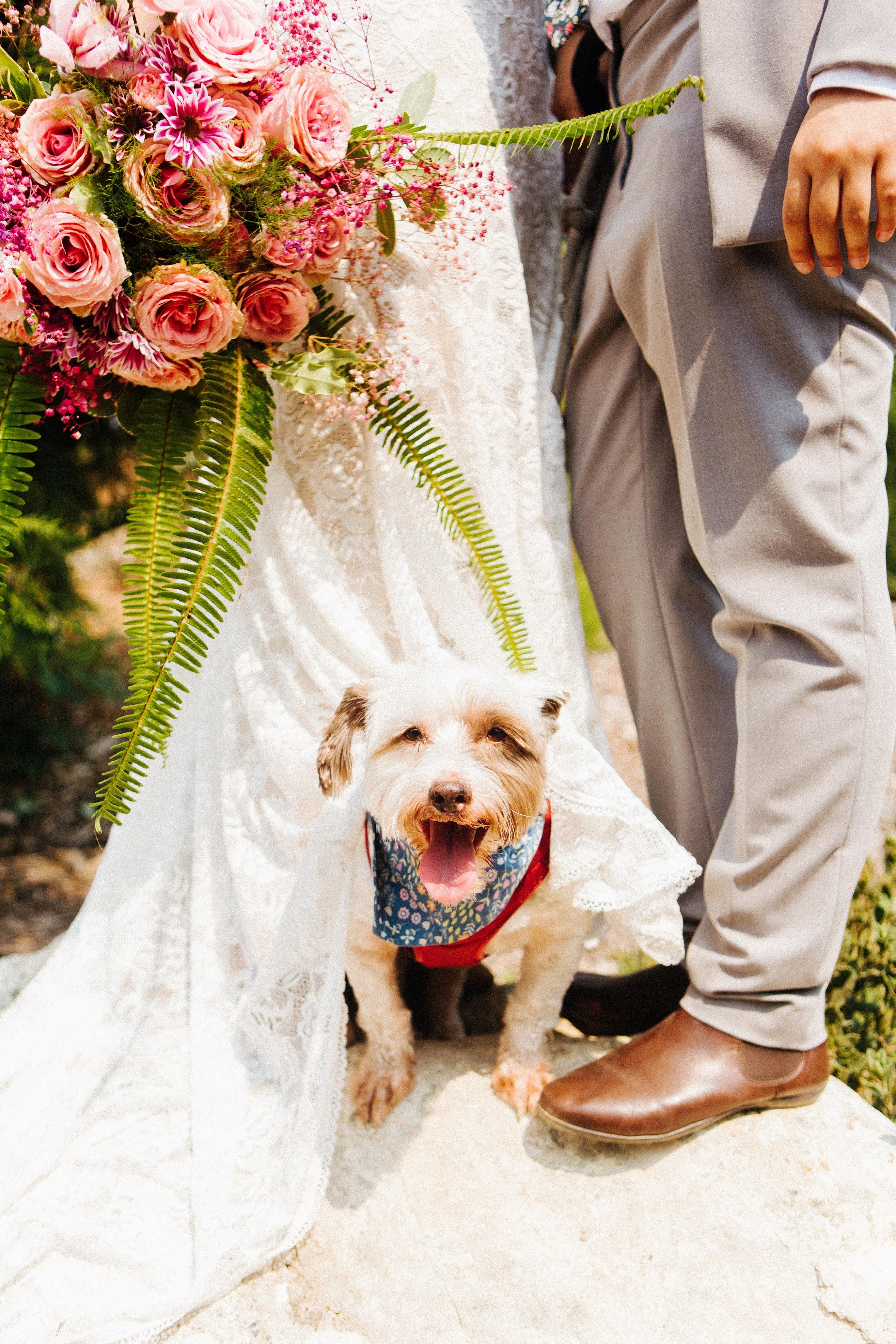 The Wedding Website of Alyssa Ventura and Jannel Rasmussen