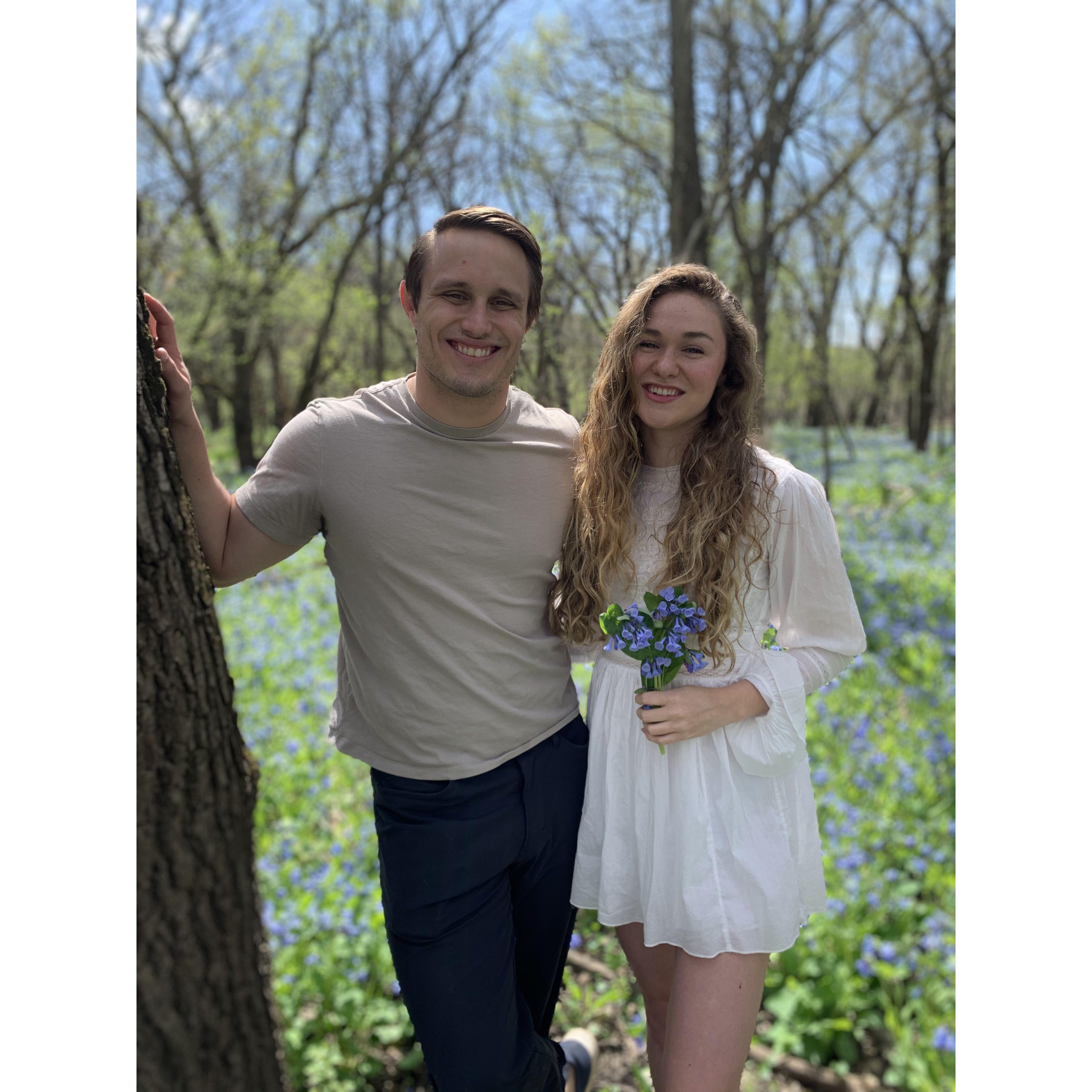 Bluebells 2020