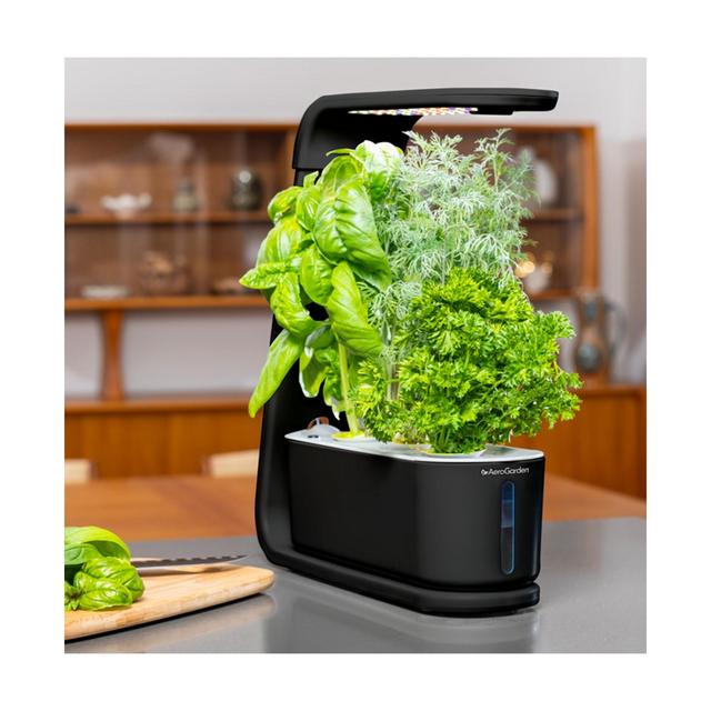 AeroGarden Sprout with Gourmet Herbs 3-Pod Seed Kit