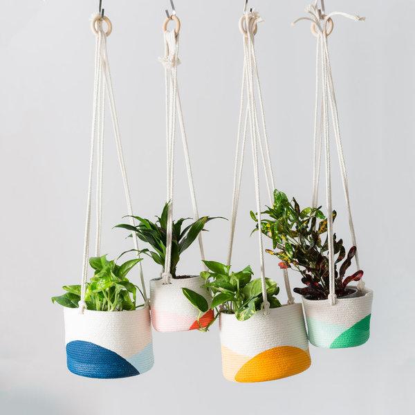 Closed Mondays Hanging Planter