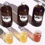 Whalebird Kombucha