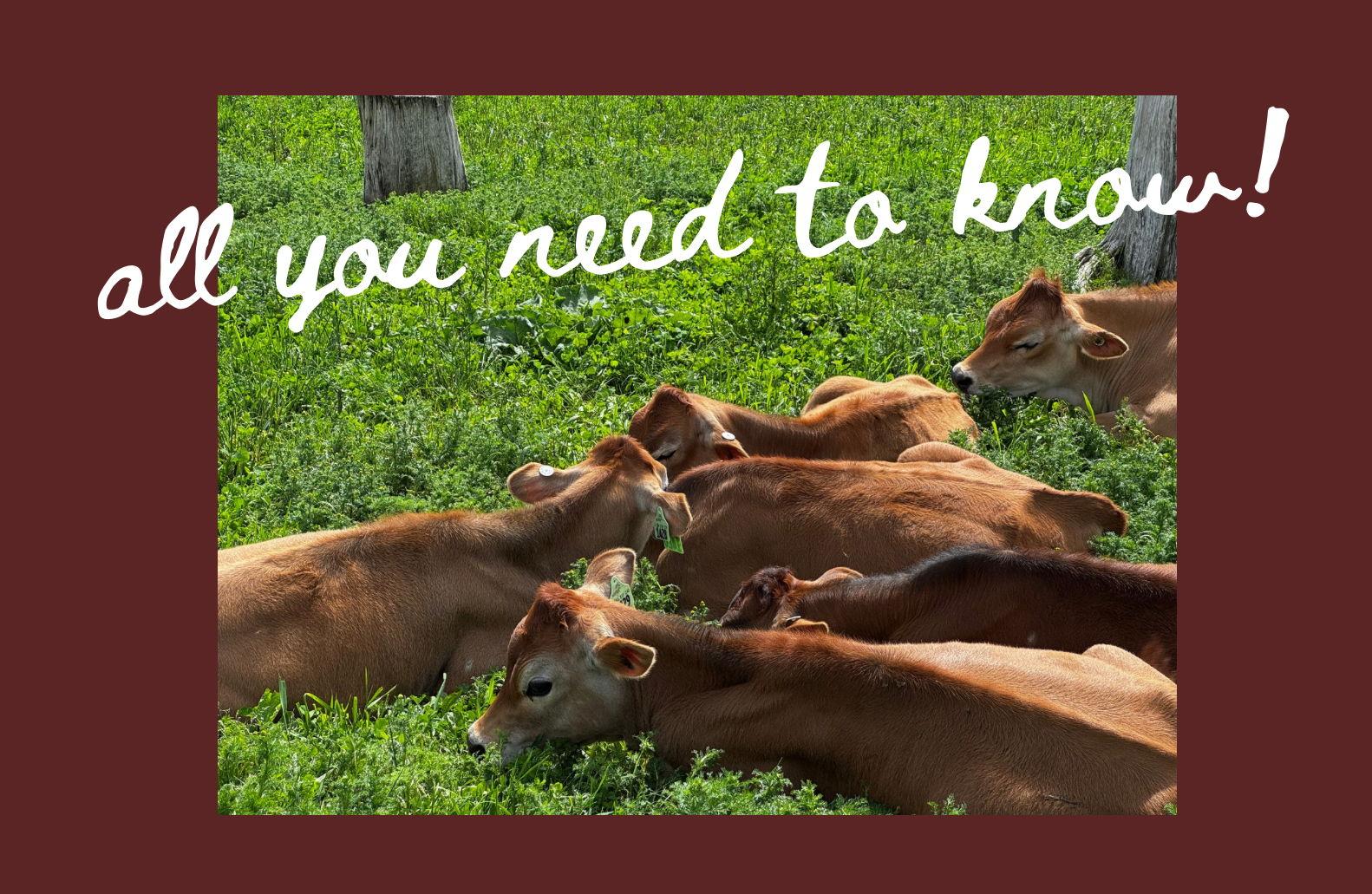 The Wedding Website of Daniella Santamarina and Jake VanDeLinde