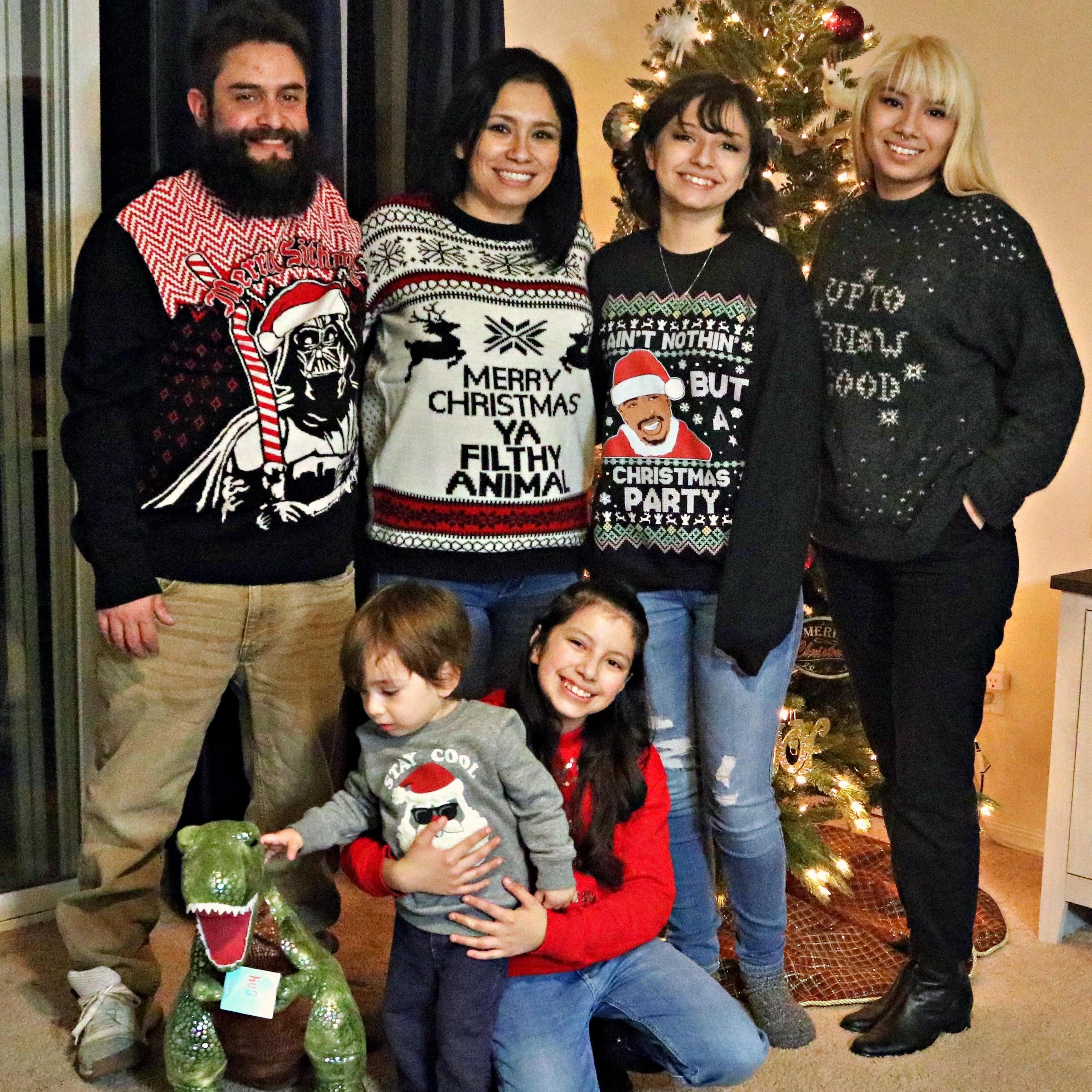 First Christmas in our new home!