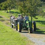 Hyland Orchard and Events