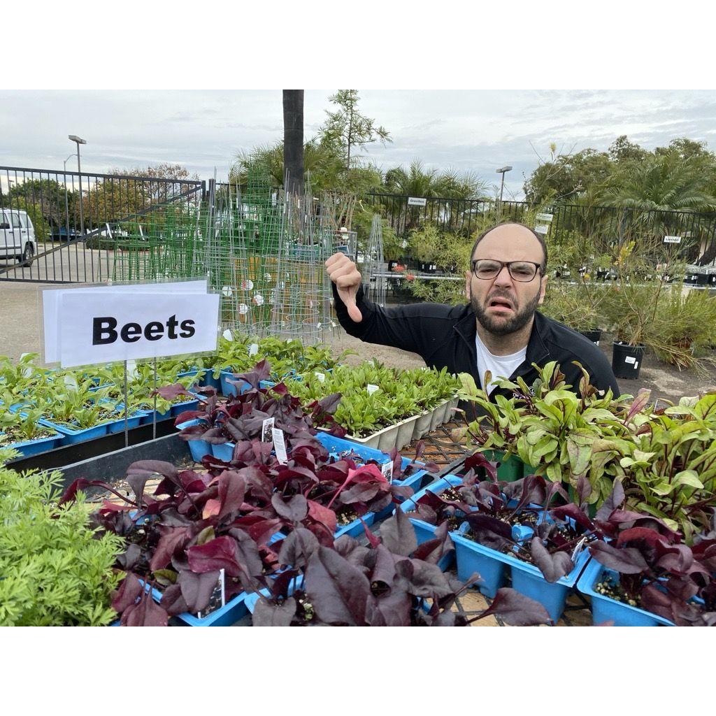 Beets suck.