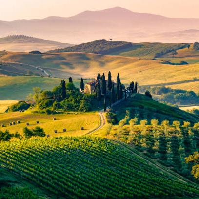 Italy Fund!