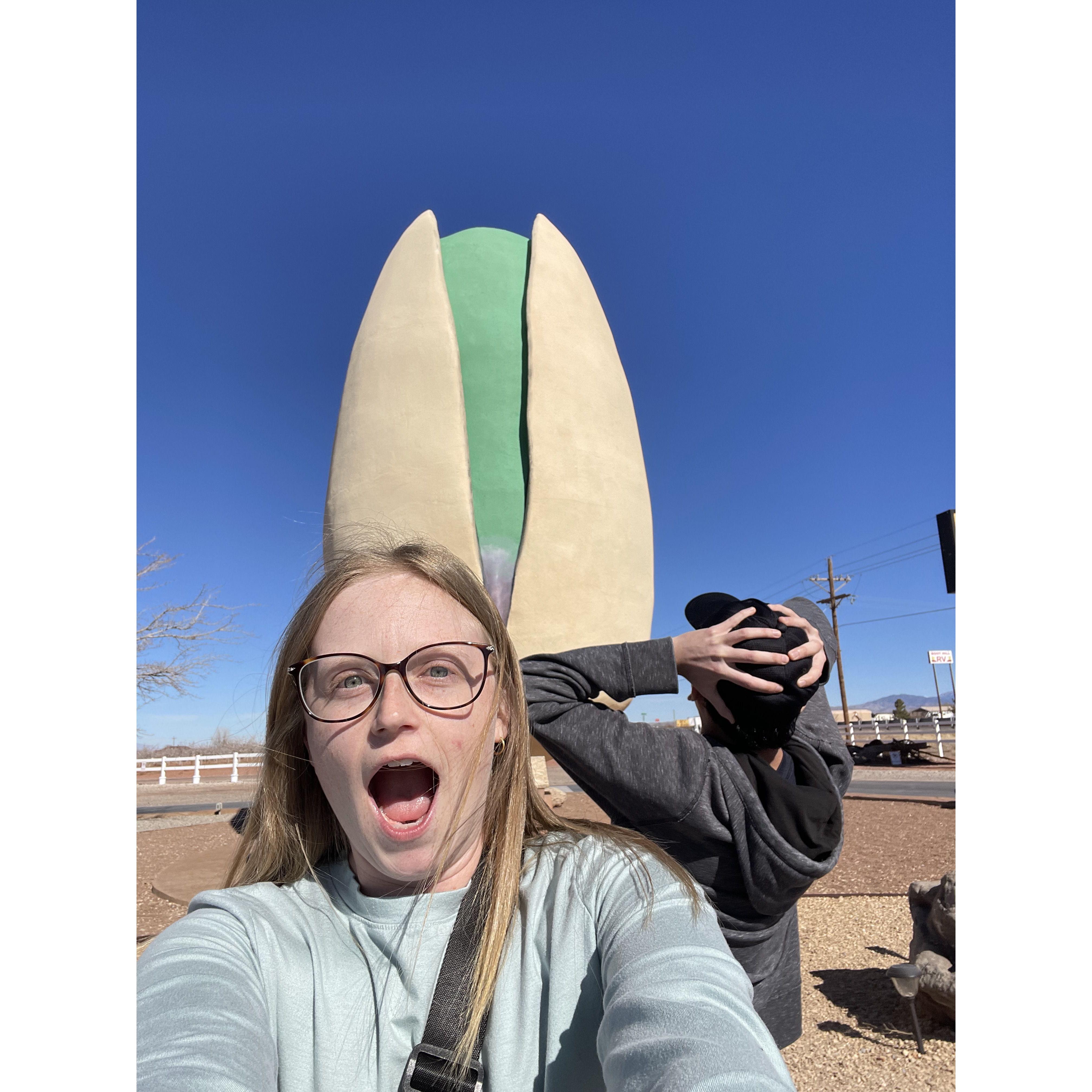 WORLD'S LARGEST PISTACHIO