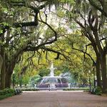 Savannah