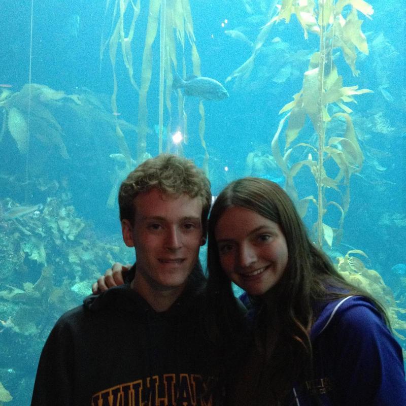 Visiting the Monterey Bay Aquarium in California