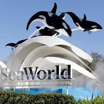 SeaWorld Orlando