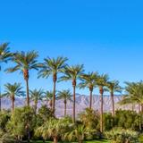 Palm Desert