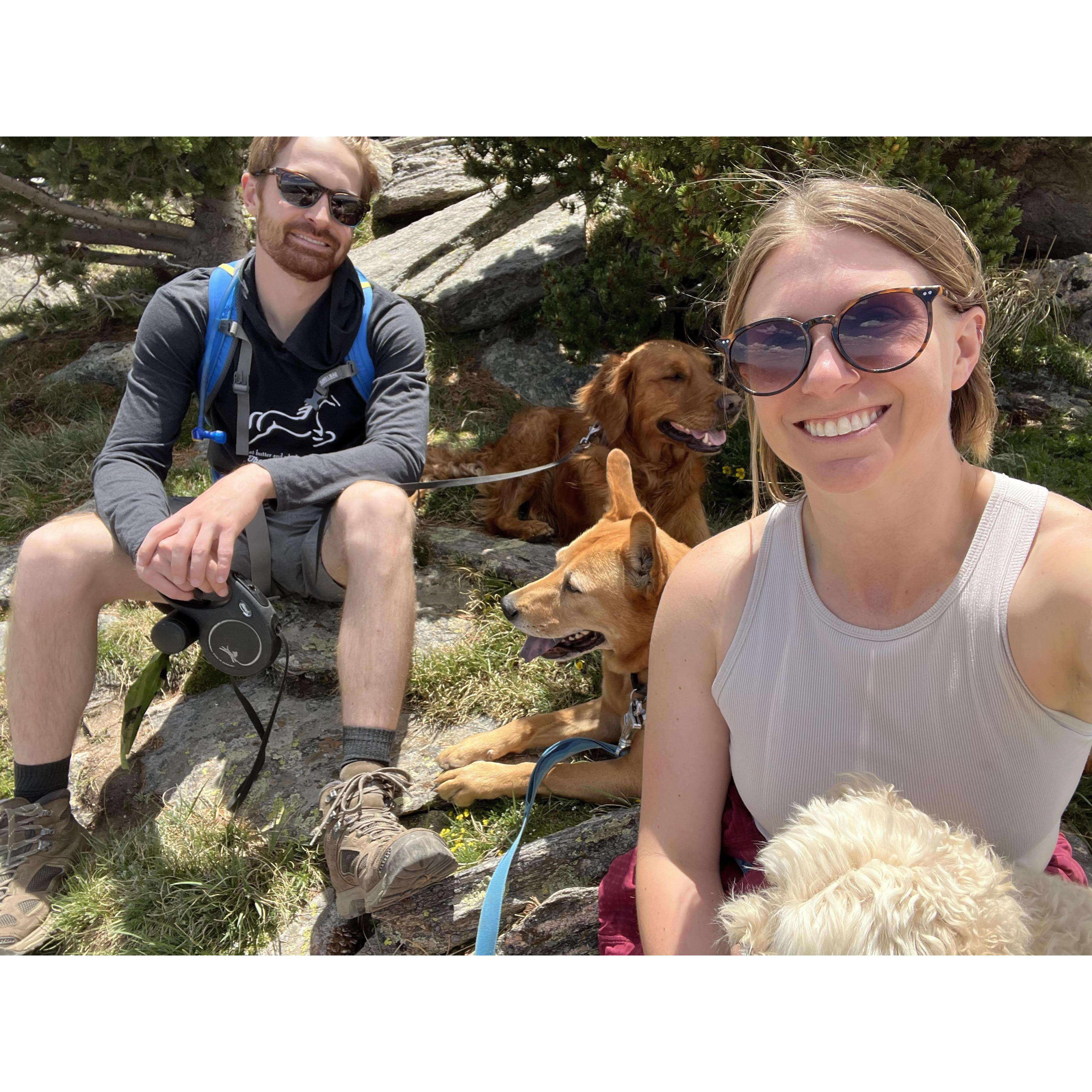 one of many hikes with the pups