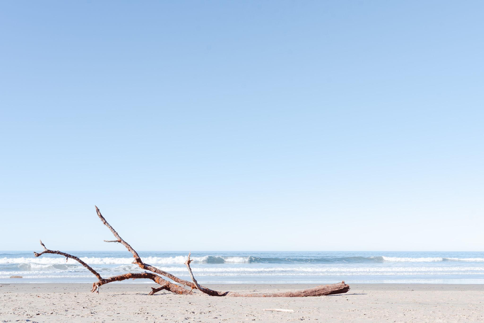 The Wedding Website of Julie Abrigonde and Josh Joireman