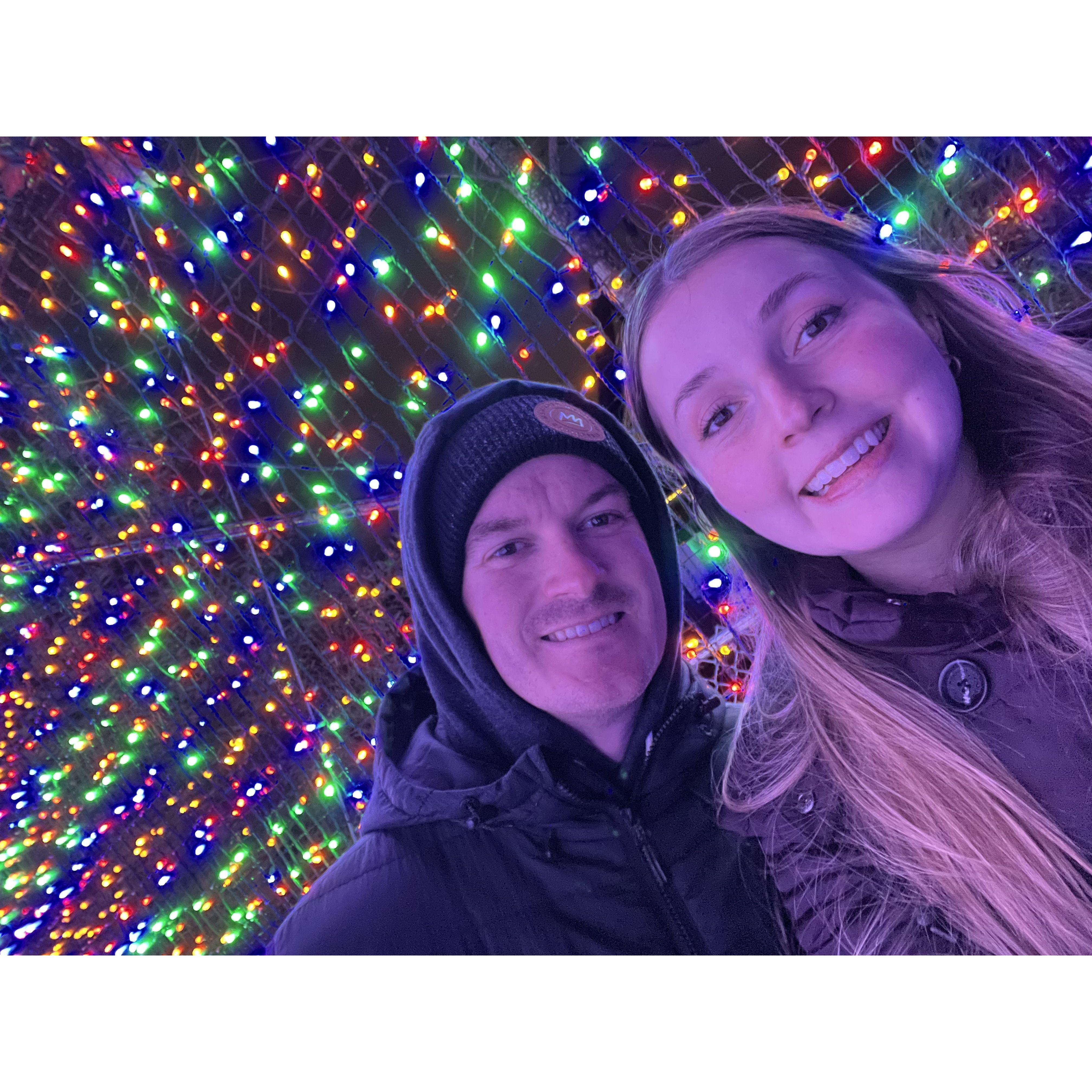 Zoo Lights, 2022