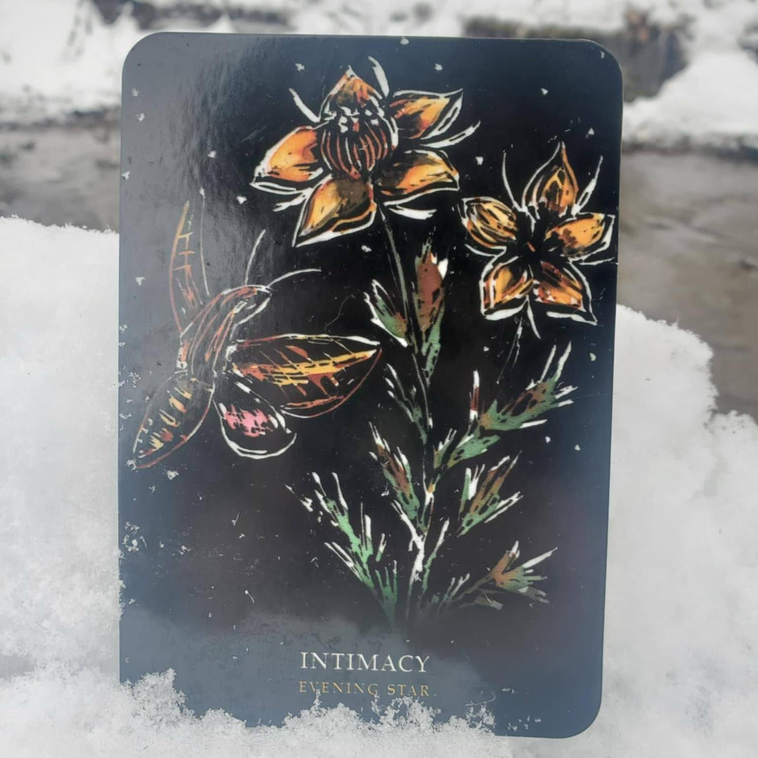 The card that began this story. Ask the bride’s hand of honor. Or just check their bio.