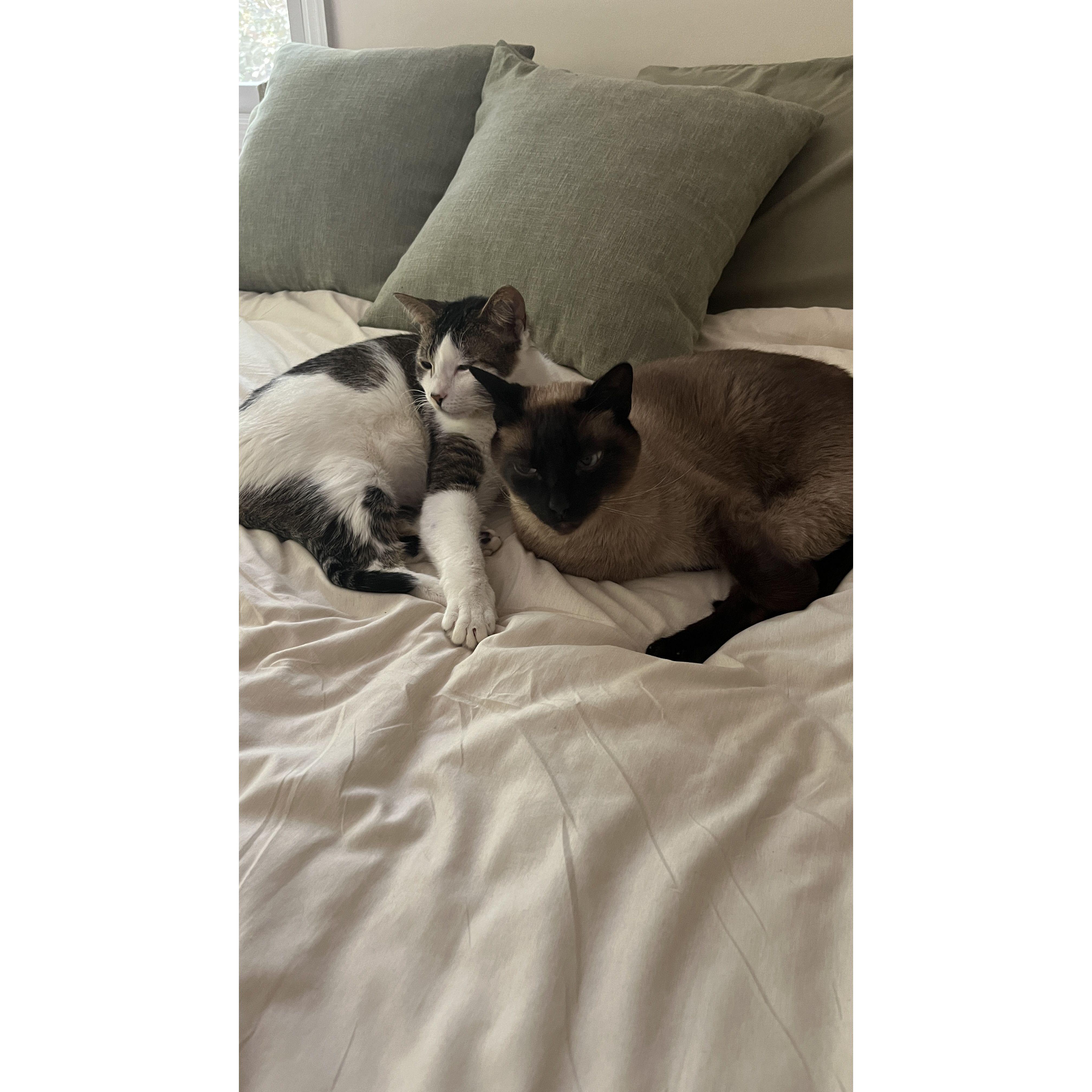 Macaulay Macaulay Culkin Culkin (Mackey) and Milo