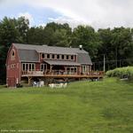 Lost Acres Vineyard