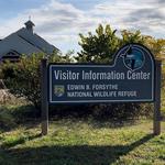 Edwin B. Forsythe National Wildlife Refuge