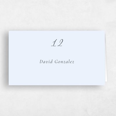 Light Sky, Blue Wedding Place Card - Merlo