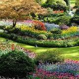The Butchart Gardens