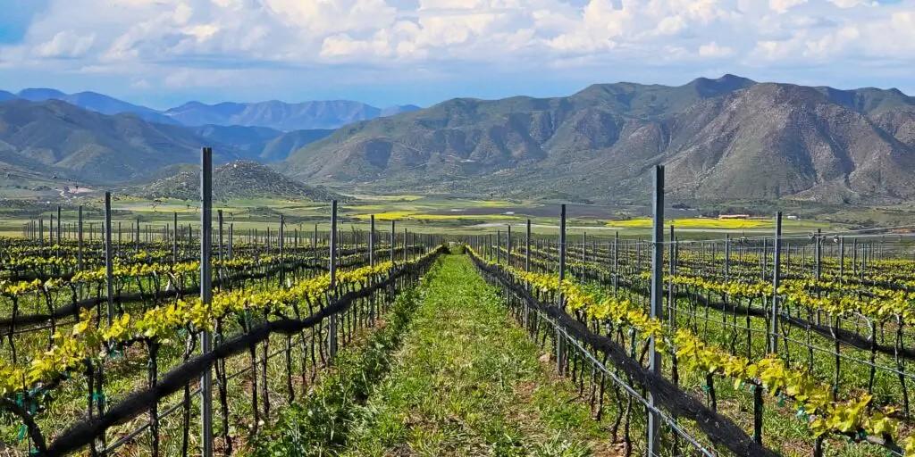 The Wedding Website of María Lawton and Santiago Pérez Enríquez