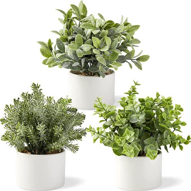 SEEKO Mini Artificial Plants in Ceramic Pots - Set of 3 Realistic & Beautiful Assorted Faux Plants Indoor for Office Desk Decor, Shelf Decor, Bathroom Plants, Modern Farmhouse Decor & Boho Room Decor