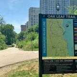 Walking Around: Oak Leaf Trail