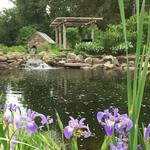 Bowman's Hill Wildflower Preserve